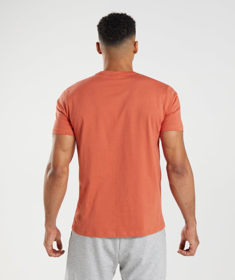 Men's Gymshark Sharkhead Infill T-Shirts Orange | CA 7A8013